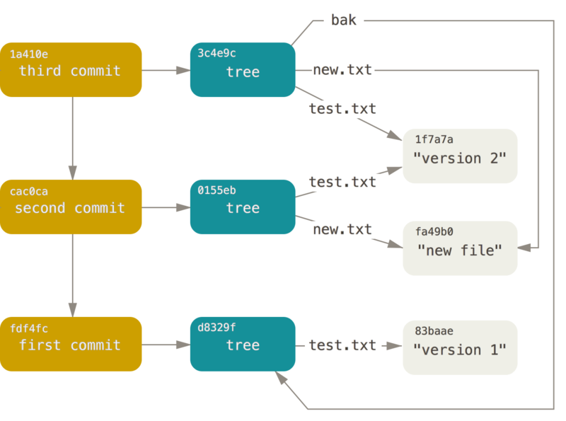 All the objects in your Git directory.