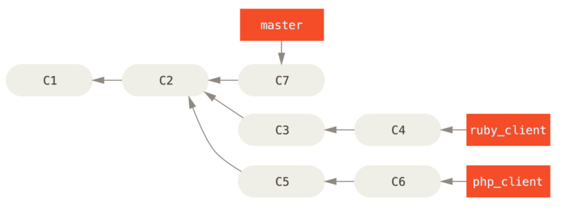 History with several topic branches.