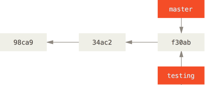 Two branches pointing into the same series of commits.